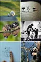 Descargar XAPK de Stickers+