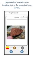 Learn About Minerals imagem de tela 3