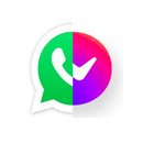 APK Guess Mobile Application