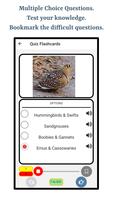 Types Of Birds captura de pantalla 2