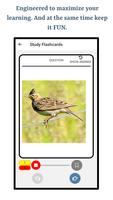 Types Of Birds captura de pantalla 3