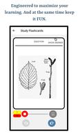 Guess Trees From Leaves imagem de tela 3
