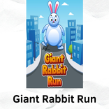 Giant Rabbit Run