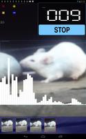 Spy The Mouse captura de pantalla 3