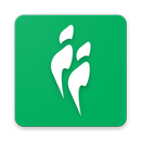 Atovi APK