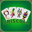 Briscola icon