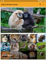 Gibbon Monkey Sounds Affiche