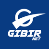 GIBIRNet Online-Transaktionen APK