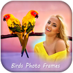 Birds Photo Frames
