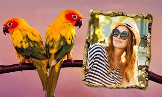 Birds Photo Frames poster