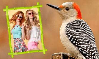 Birds Photo Frames screenshot 2