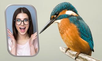 Birds Photo Frames screenshot 3