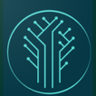 Giga EHR icon
