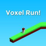 Voxel Run!