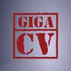 A great resume with giga-cv aplikacja