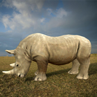 Famille de rhinocéros sauvages icône