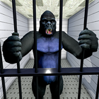 Gorilla-Flucht-Gefängnis Zeichen