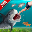 Sauvage Requin chasseur 2019