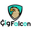 Gig Falcon icon
