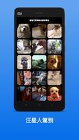 WeChat Lovely Dogs GIF Emoji Affiche