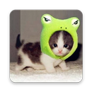 WeChat Amusing GIF Emoji APK