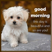 GOOD MORNING GIF STICKERS