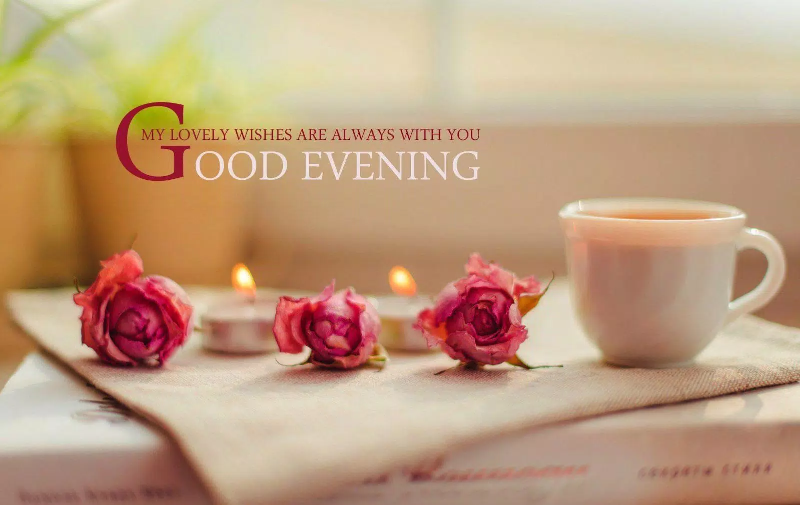 Good Evening GIF & Wishes APK for Android Download