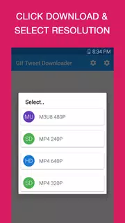 GIF | Video | Tweet Downloader