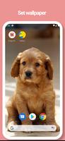 Puppy, Dog Wallpapers - Pictur screenshot 3