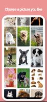 犬の壁紙 - 写真、動画 ポスター