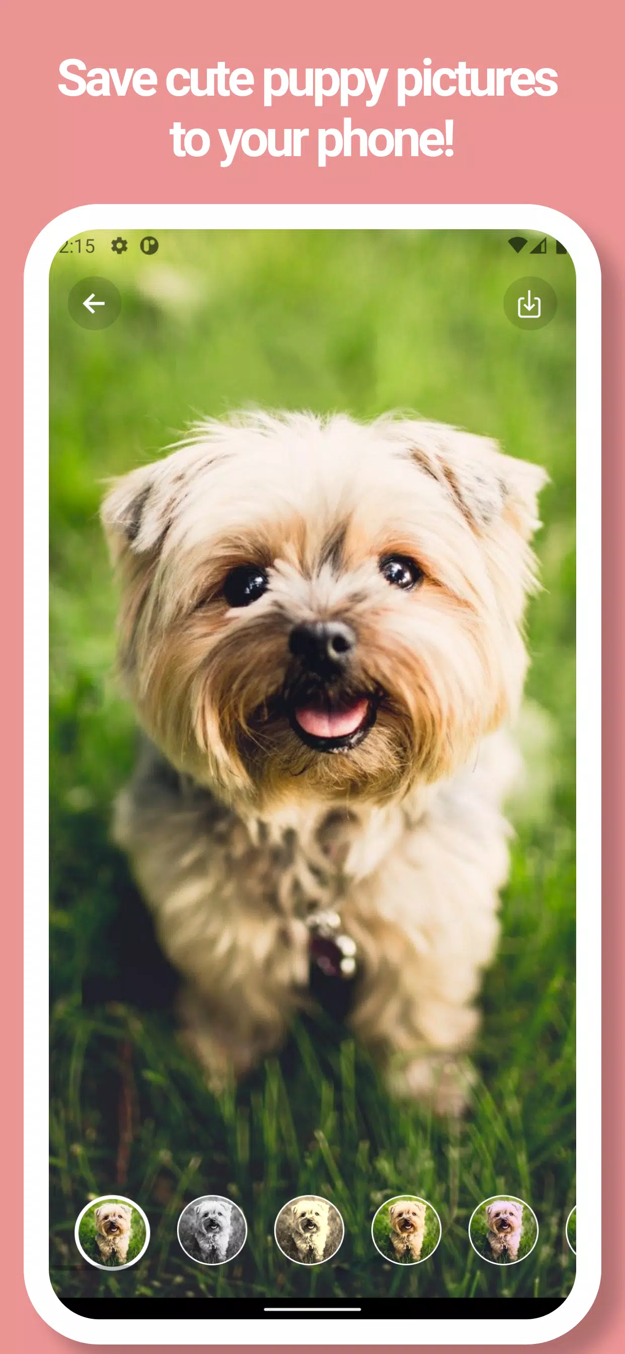 Android向けの犬の壁紙 写真 動画 Apkをダウンロードしましょう