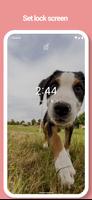 犬の壁紙 - 写真、動画 スクリーンショット 2