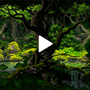 Forest GIF Wallpaper APK