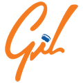 GIL-VR