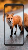 Fox Wallpaper HD скриншот 1