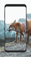 Fox Wallpaper HD скриншот 2