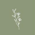 Sage Green Wallpaper
