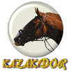 KAZAKDOR DEMO APK
