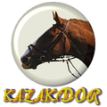 KAZAKDOR DEMO