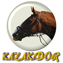 KAZAKDOR DEMO APK