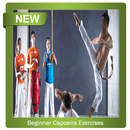 Beginner Capoeira Exercises APK