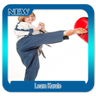 Learn karate simgesi