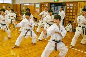 Karate lernen Plakat