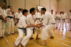 Learn karate syot layar 1