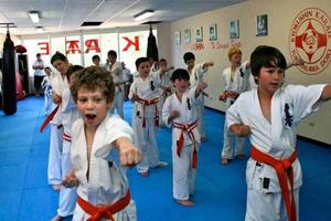 Learn karate syot layar 2