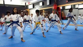 Learn karate 스크린샷 3