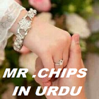 12 CLASS MY MR CHIPS IN URDU icône