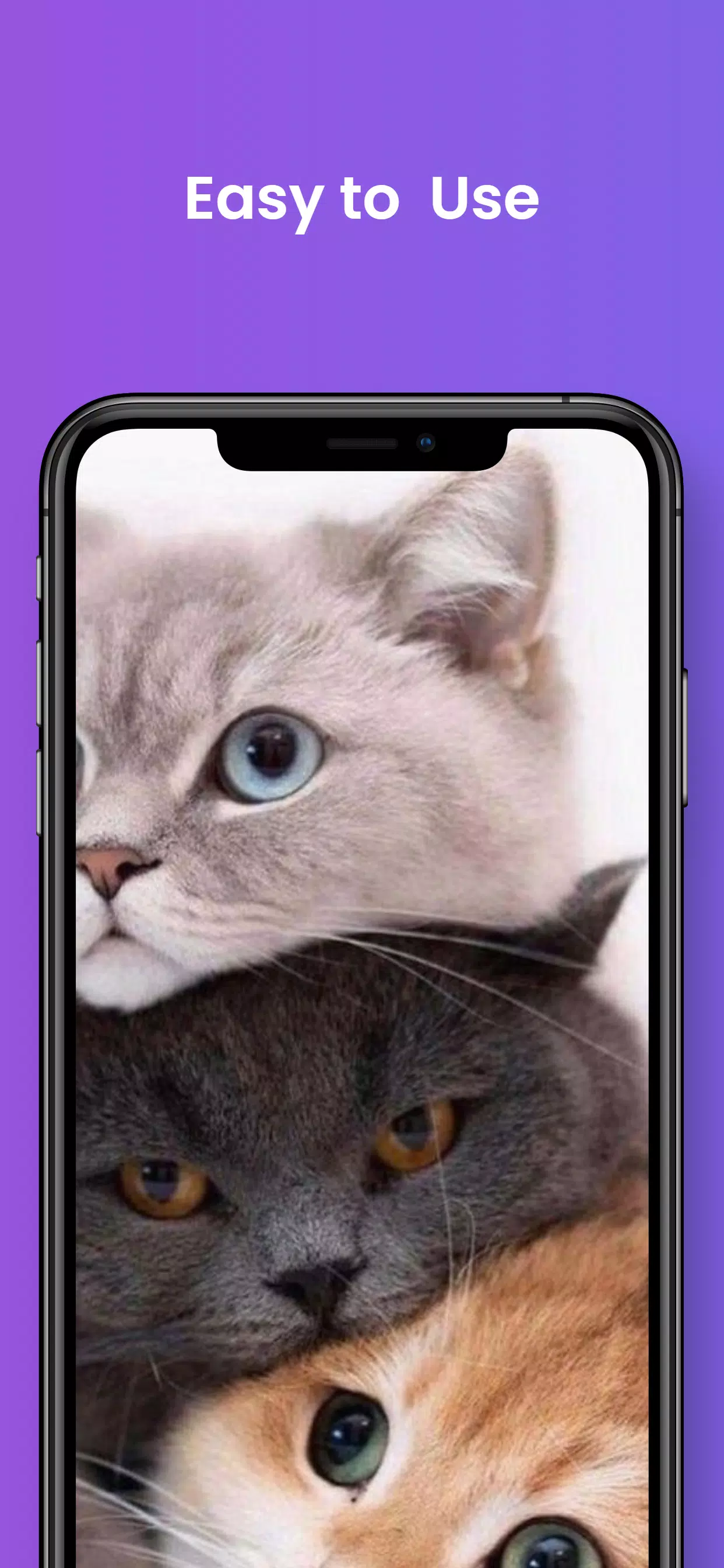 Cat aesthetic Wallpaper - Apps on Google Play