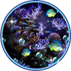 Neon Aquarium Fish live wallpaper APK