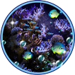 Neon Aquarium Fish live wallpaper